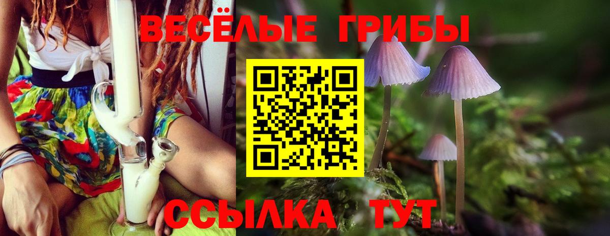 Хасавюрт  Псилоцибиновые грибы мицелий  Вход с VPN 